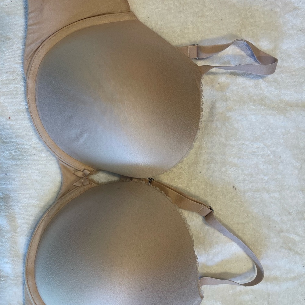 Torrid Bra